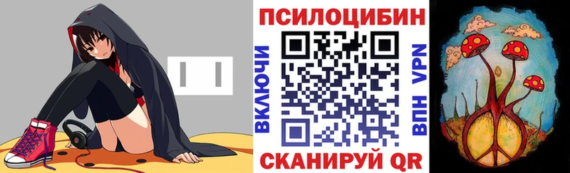 МЕГА вход Череповец Галлюциногенные грибы Psilocybe